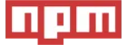 npm