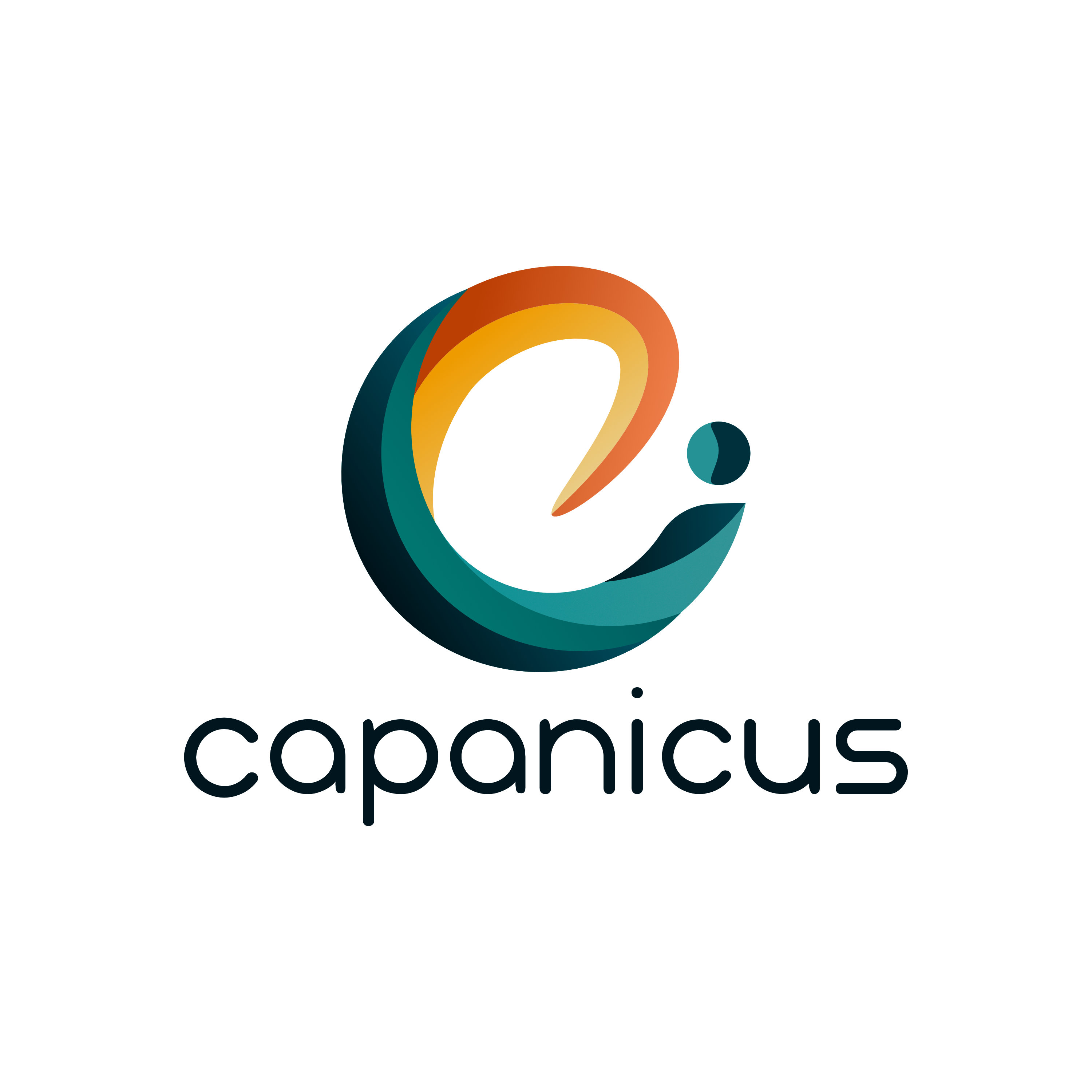 (c) Capanicus.com